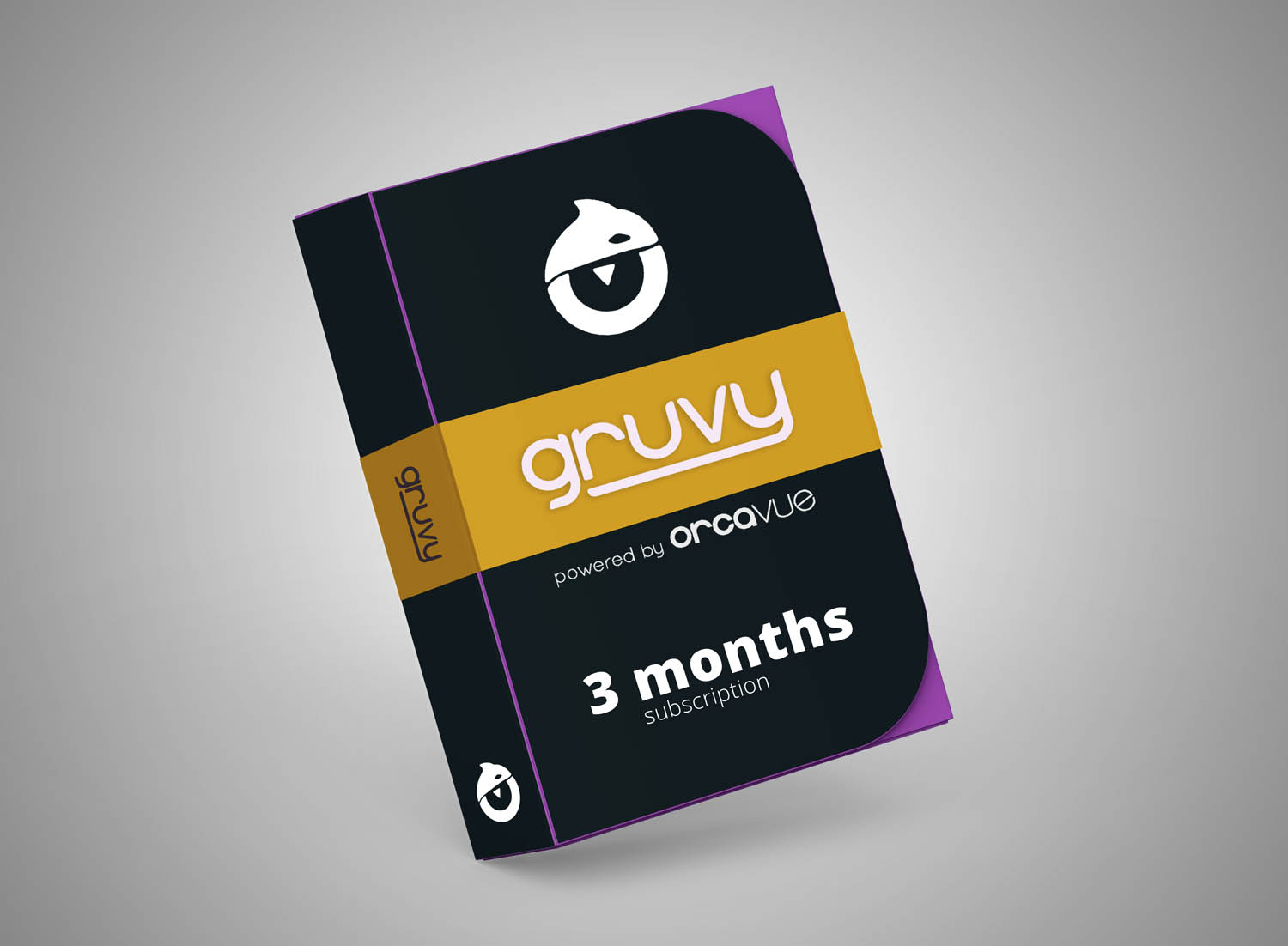Gruvy license – 3 months